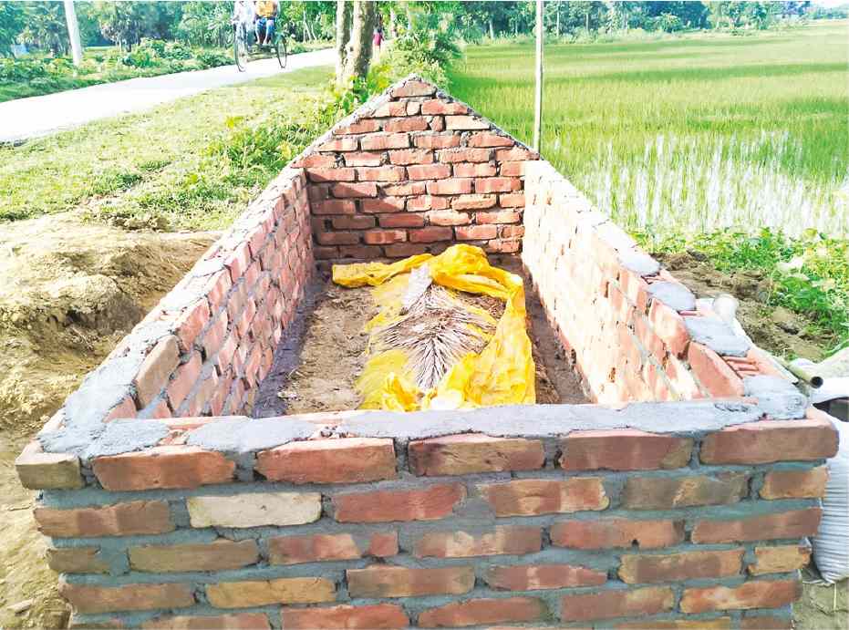 Image of মো: মাজিদুল 